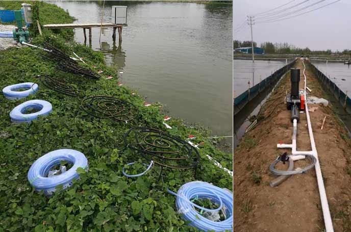 水产养殖罗茨风机 水产养殖罗茨风机