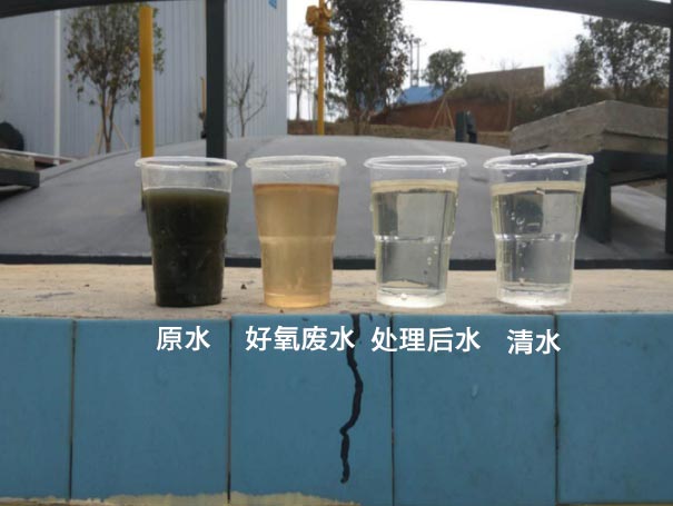 污水曝气罗茨鼓风机应用案例 污水曝气罗茨鼓风机应用案例