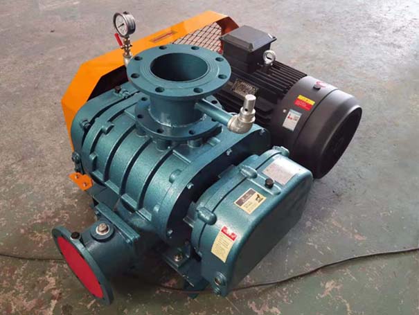 罗茨真空泵 罗茨风机厂家发货江西罗茨真空泵XQSSR125v5台(图1)